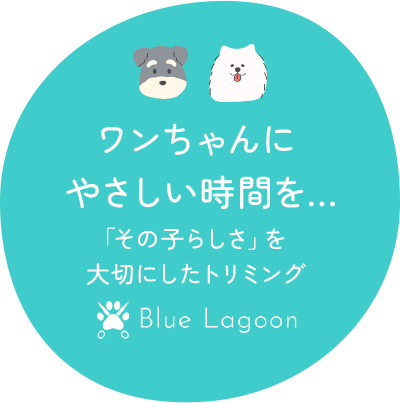ワンちゃんにやさしい時間を…❝その子らしさ❞を大切にしたトリミング