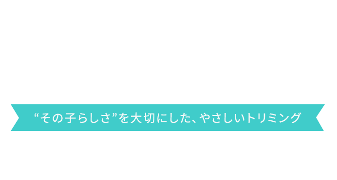 “その子らしさ”を大切にした、やさしいトリミング